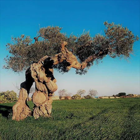 Sirene Polignano a Mare